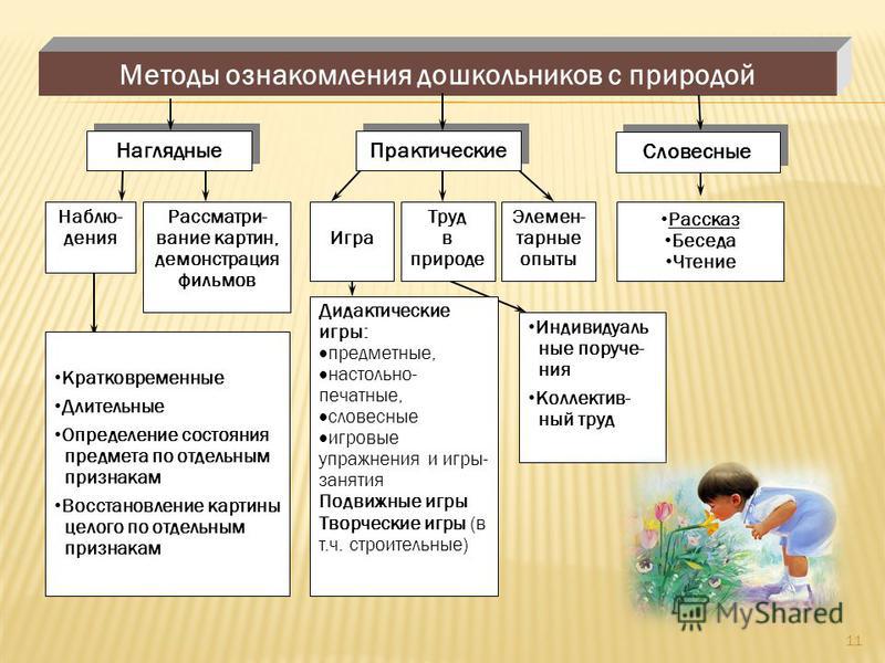 Организация детей дошкольного возраста