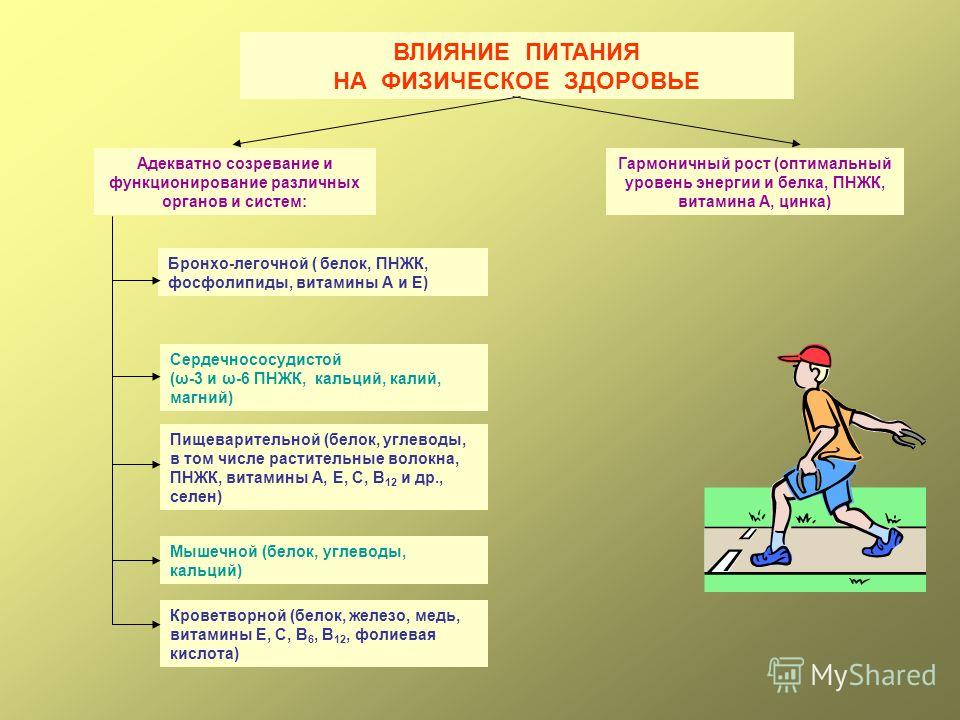 Физическое развитие и здоровье одаренных детей презентация