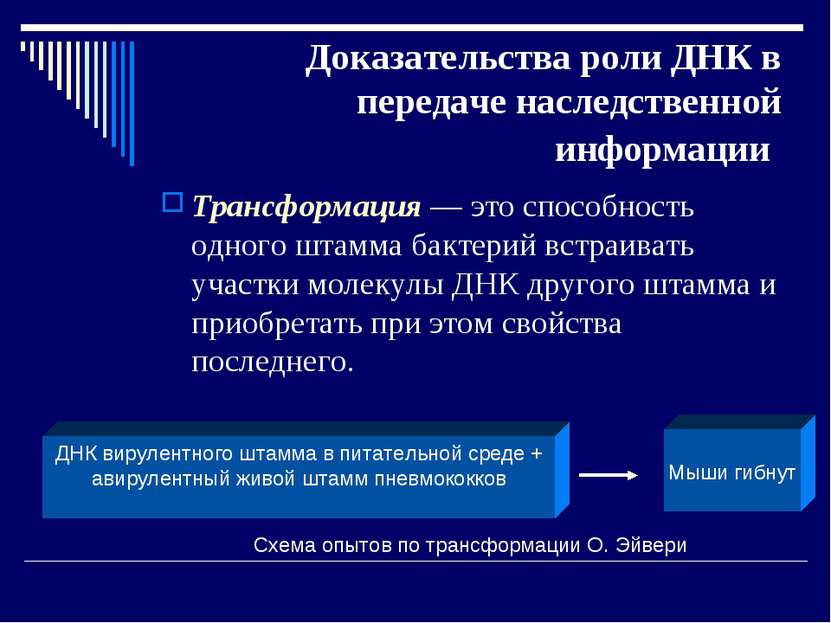 Наследственная трансмиссия простыми словами