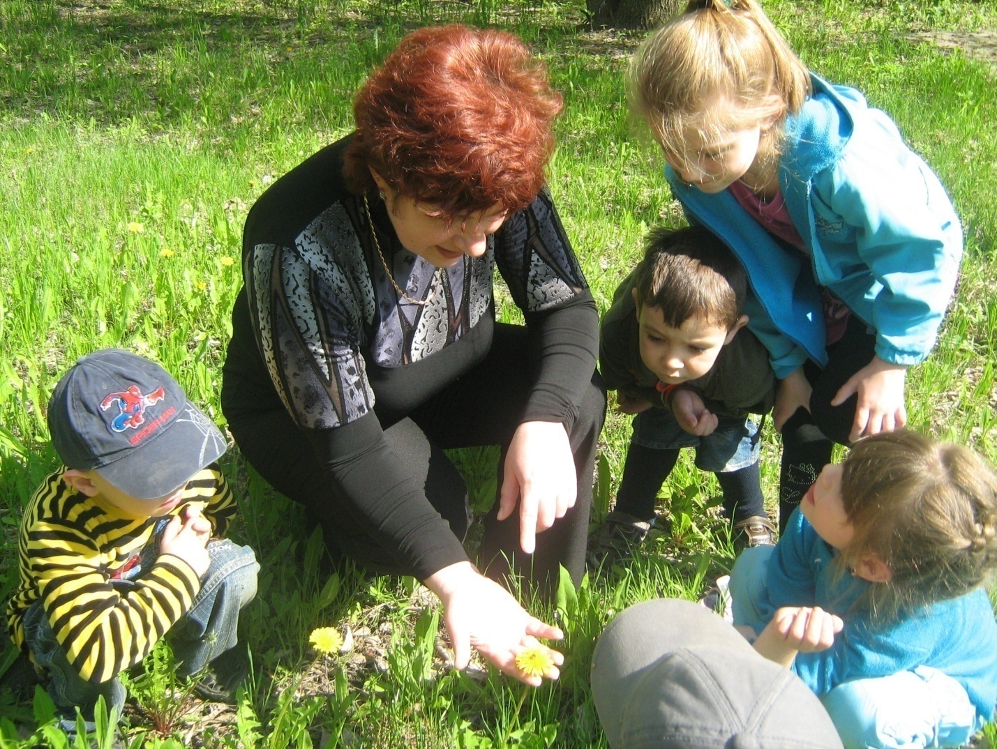 Открытый экологический урок. Экологическое воспитание. Экология для дошкольников. Природа для дошкольников. Экологическое образование дошкольников.