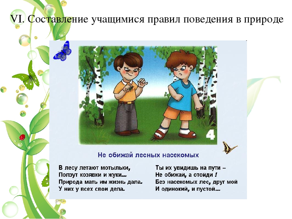 4 правила природы. Правила поведения отношения к природе. Правила поведения в природе стихотворение. Мое поведение на природе. Природа и наша поведение в природе.