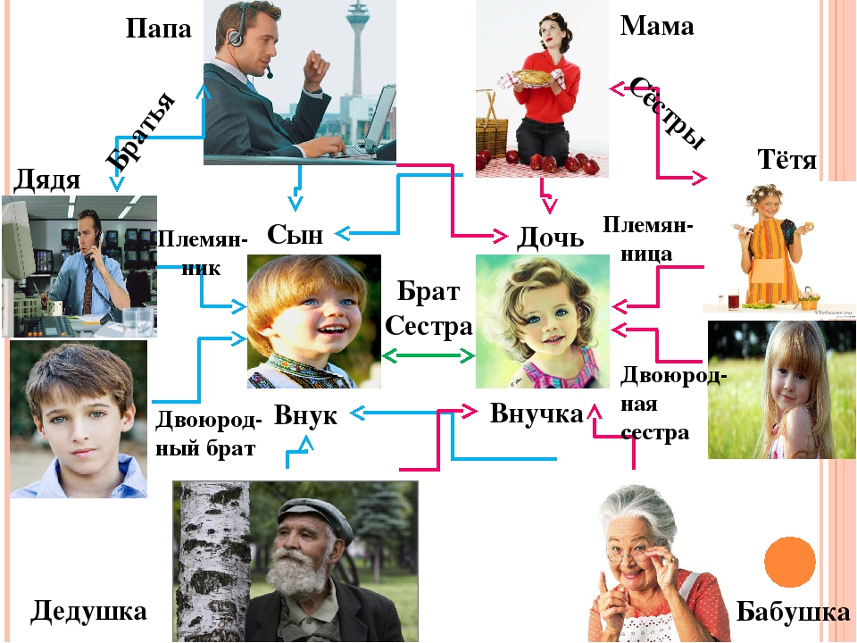 Схема названий родственников