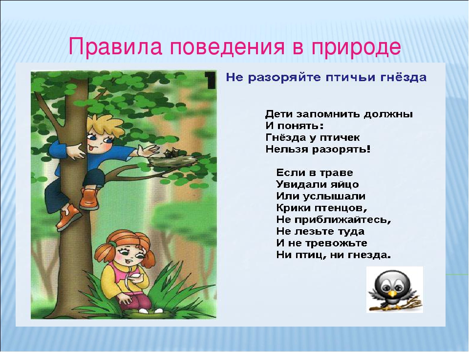 Правила безопасного поведения на природе конспект кратко. Правилаповеденияявприроде. Правила поведения вмприроде. Поведение в природе для дошкольников. Правило поведения на природе.