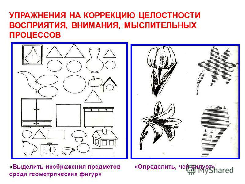 Зрительное опознавание изображений с усиленными признаками