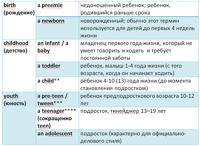 этапы жизни человека