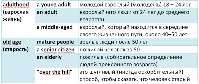 английский язык возраст человека