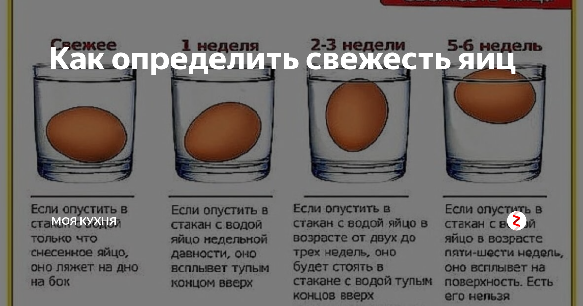 Как определить свежесть яйца в воде. Как узнать свежесть яиц. Какпоерить мвеже сть яиц. Определение свежести яиц в домашних условиях.