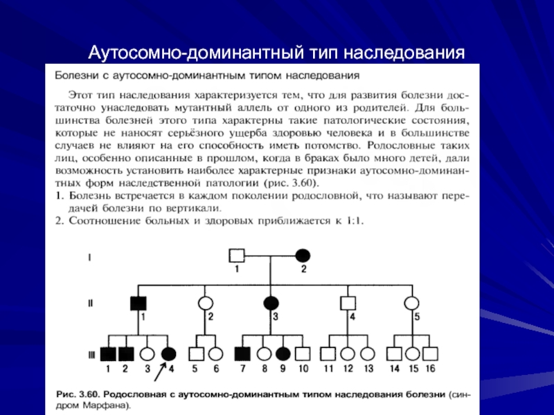 Участники наследственных отношений схема